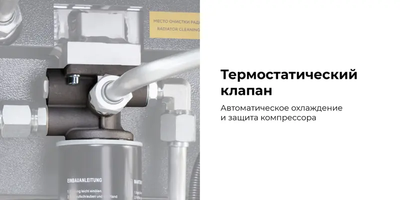 NCN-10-15-20_1_rich_details.jpg NCN-10-15-20_1_rich_details.jpg