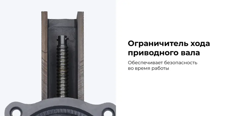 NTH200.rich5.jpg NTH200.rich5.jpg