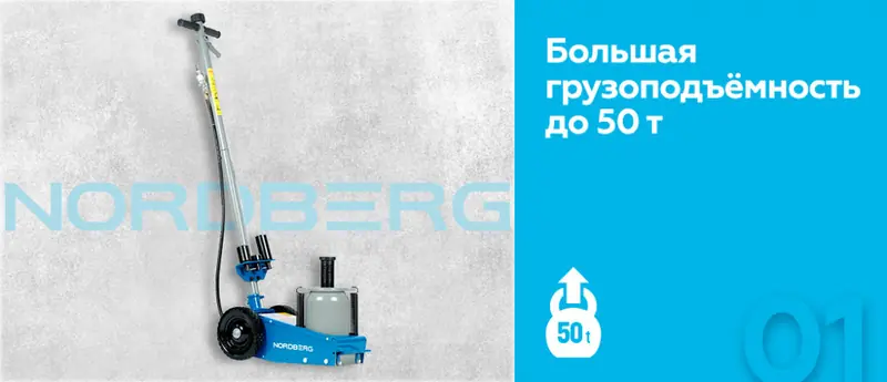 N3350L.rich1.jpg N3350L.rich1.jpg