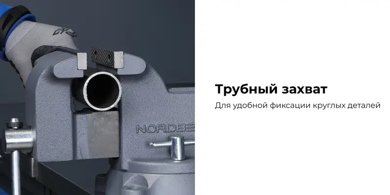 NTH125.rich3.jpg NTH125.rich3.jpg