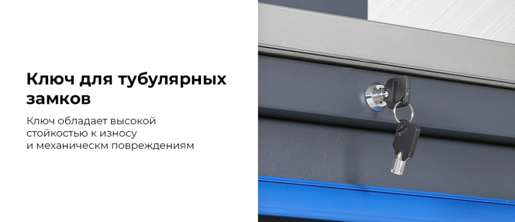 TT116.rich3.jpg TT116.rich3.jpg