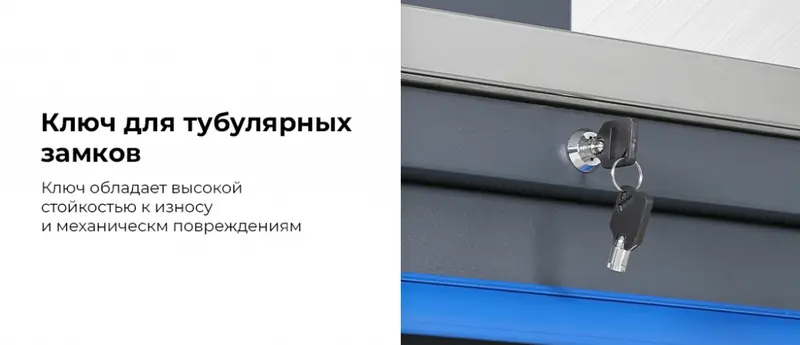 TT116.rich3.jpg TT116.rich3.jpg