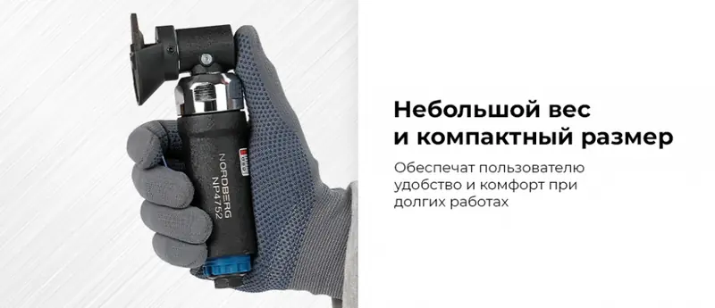 NP4752.rich2.jpg NP4752.rich2.jpg