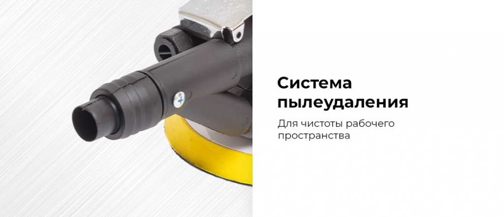 NP4256.rich2.jpg NP4256.rich2.jpg