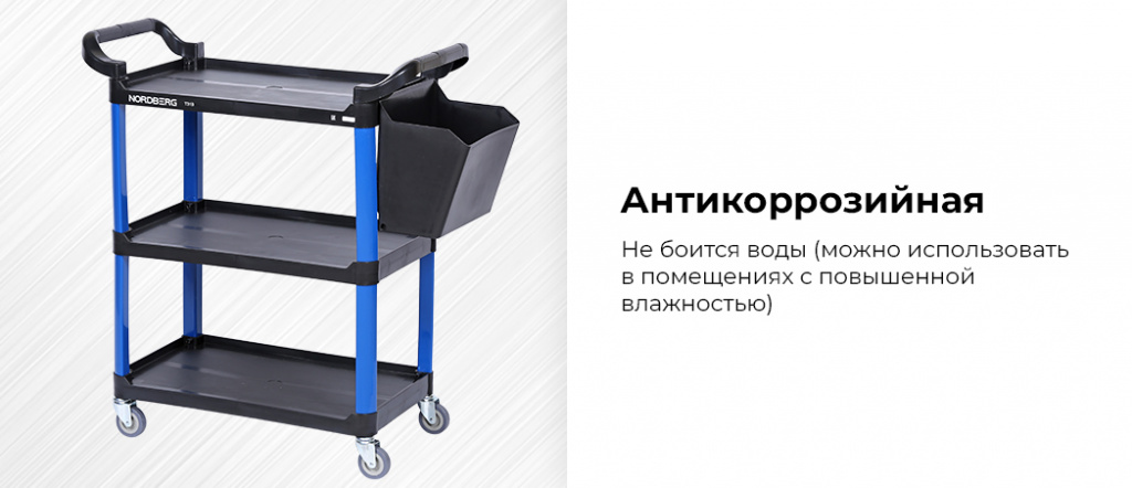 T31B.rich6.jpg T31B.rich6.jpg