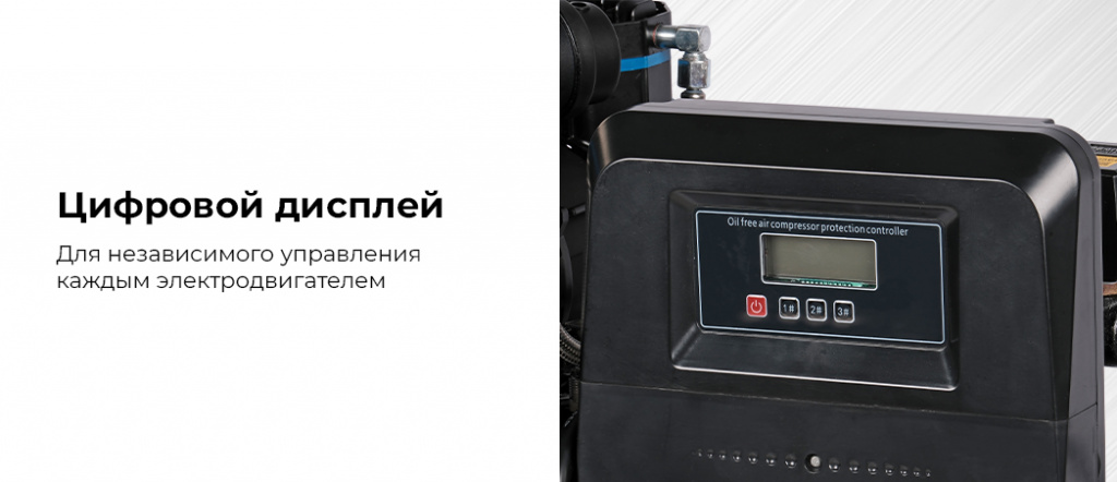 NCEO100750.rich5.jpg