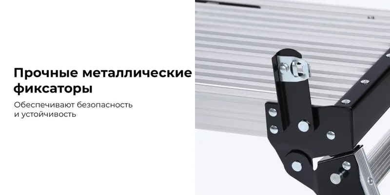 TL11.rich2.jpg TL11.rich2.jpg