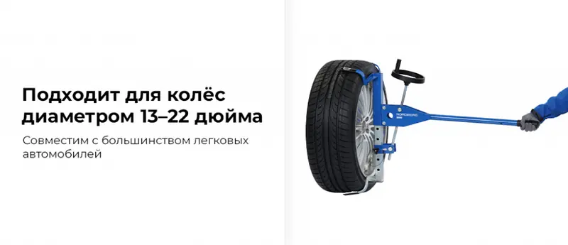 NTE20.rich1.jpg NTE20.rich1.jpg