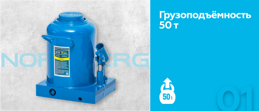 N3150.rich1.jpg