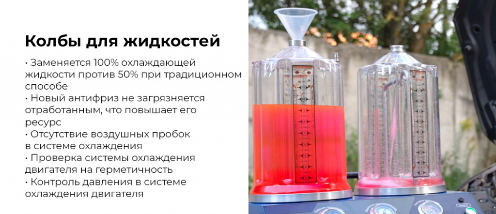 CMT5.rich1.jpg CMT5.rich1.jpg